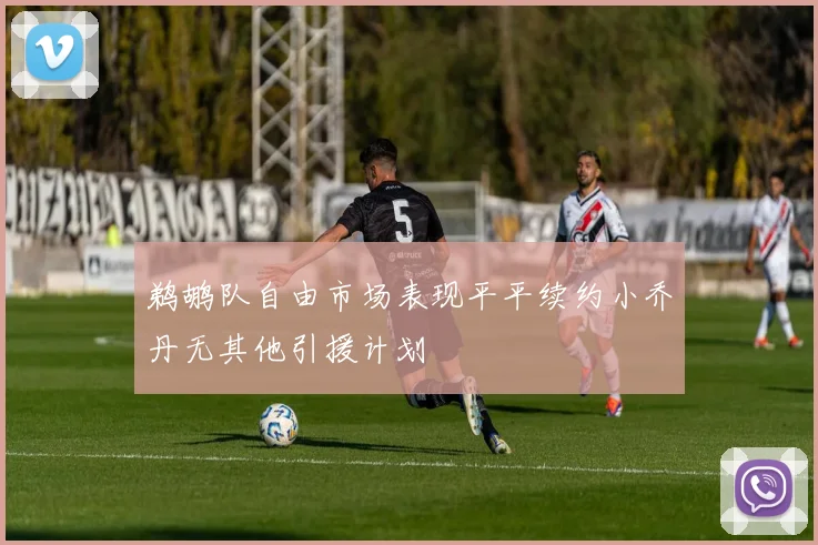 鹈鹕队自由市场表现平平续约小乔丹无其他引援计划